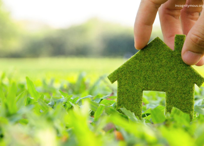 Building a Sustainable Lifestyle: Tips for Going Green